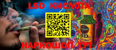 PSILOCYBIN Бугуруслан