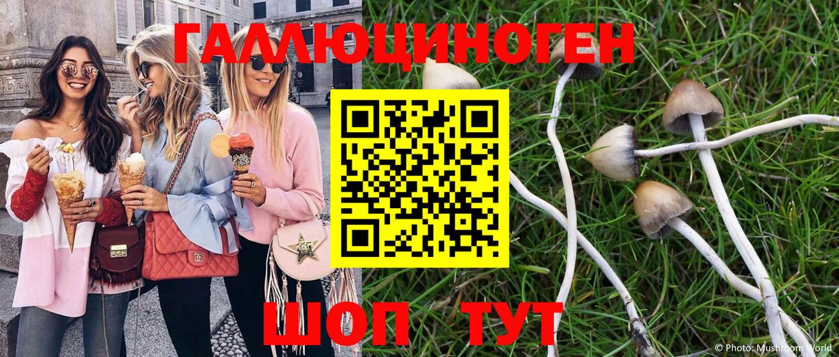 Галлюциногенные грибы прущие грибы  Вход с VPN  Саяногорск  Псилоцибиновые грибы ЛСД 